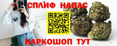 крисы Коммунар