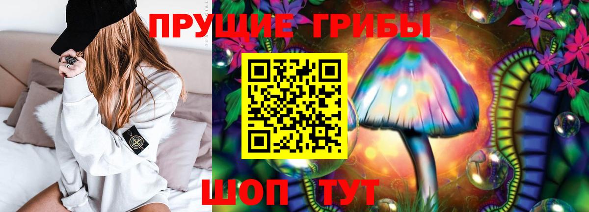 Кропоткин  Галлюциногенные грибы прущие грибы  купить наркотики сайты  Псилоцибиновые грибы Psilocybine cubensis  Вход с VPN 